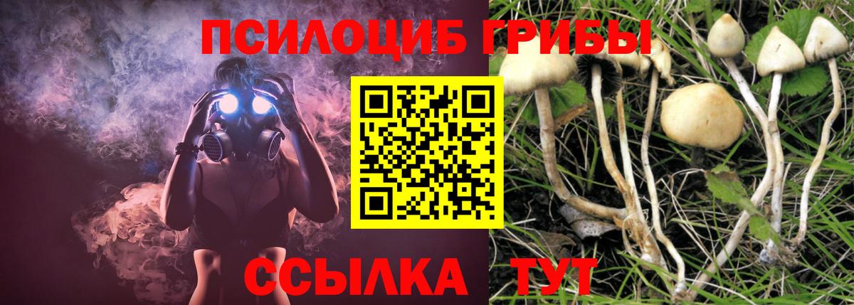 Галлюциногенные грибы прущие грибы Краснодар