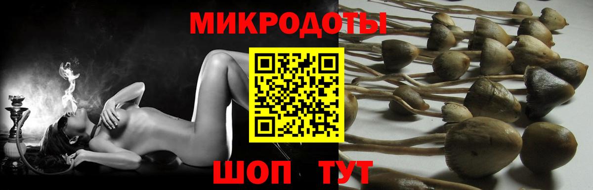 Краснодар  Галлюциногенные грибы Magic Shrooms  Псилоцибиновые грибы Psilocybe  Вход с VPN 